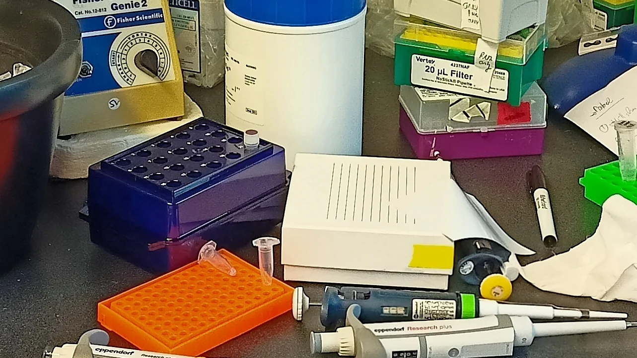 A laboratory bench with pipettes and sample racks